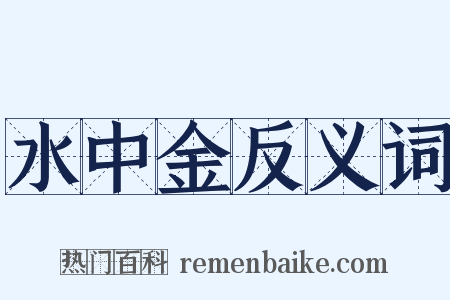 水中金反义词是什么意思的图片